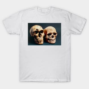 Neanderthal and Cro-Magnon 1 skulls (E438/0005) T-Shirt